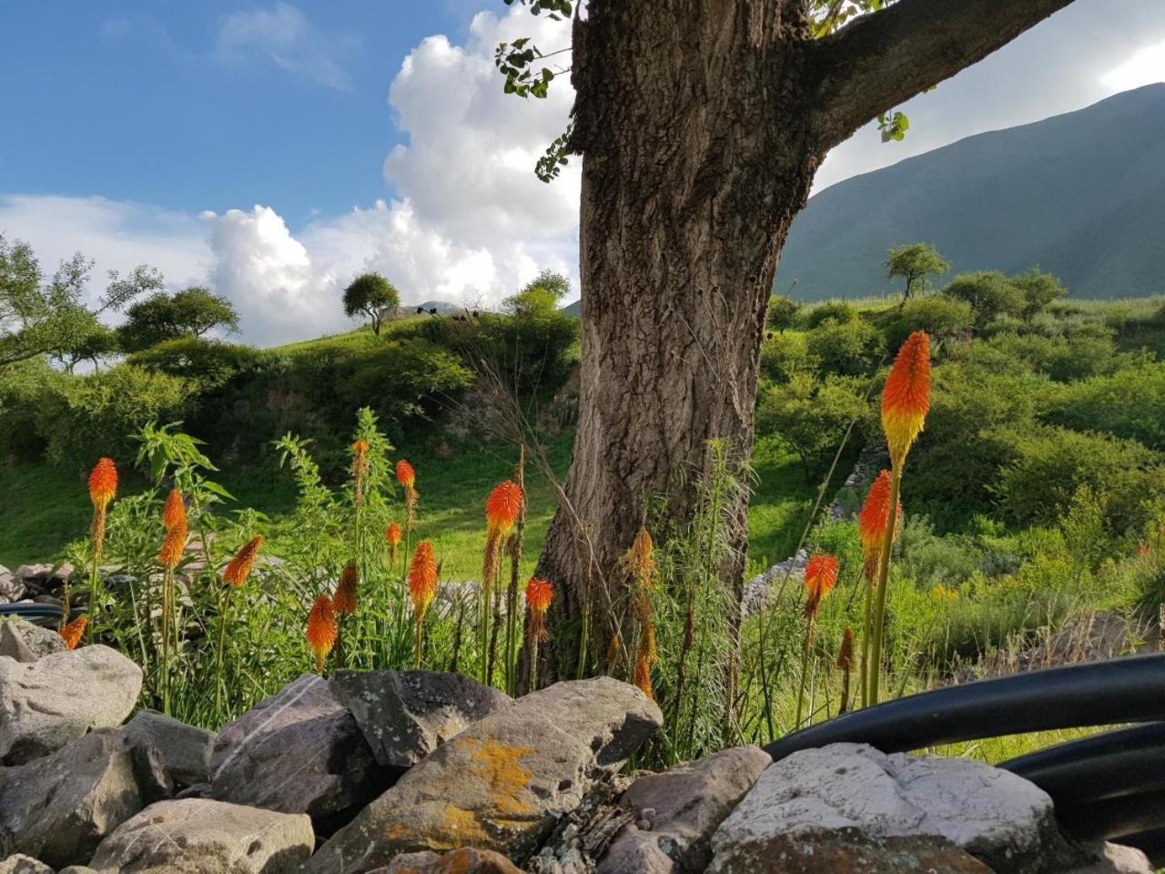 La Morada Villa Purmamarca Buitenkant foto